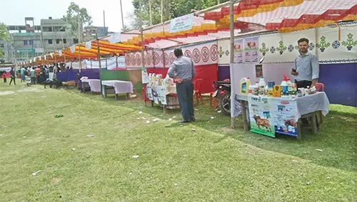 mzamin