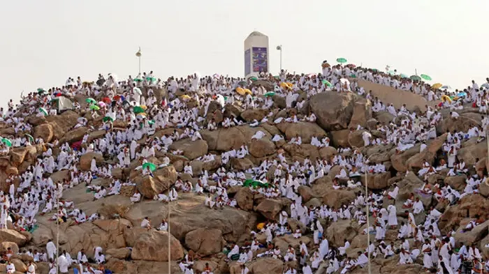 mzamin