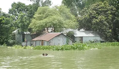 যমুনায় ফের পানি বাড়ছে