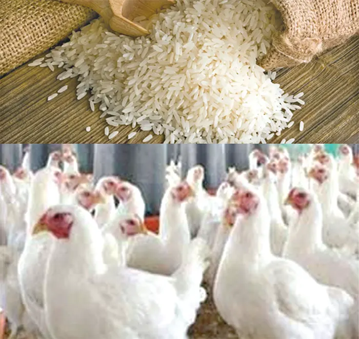 mzamin