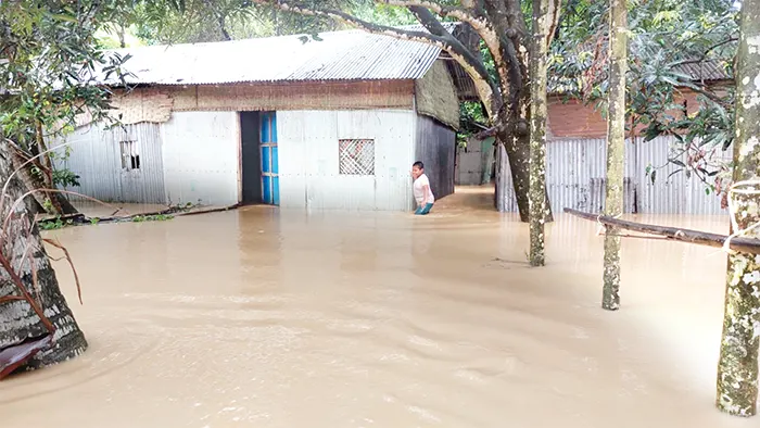 পানিবন্দি লাখ লাখ মানুষ: শেরপুর-ময়মনসিংহে ভয়াবহ বন্যা, নিহত ৩