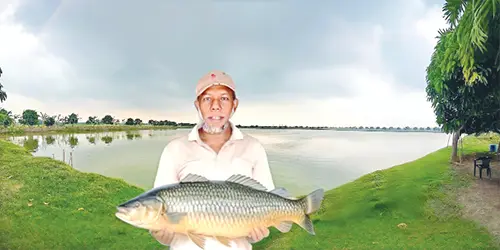 mzamin