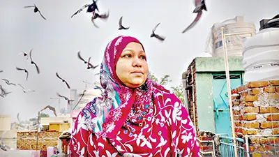 mzamin