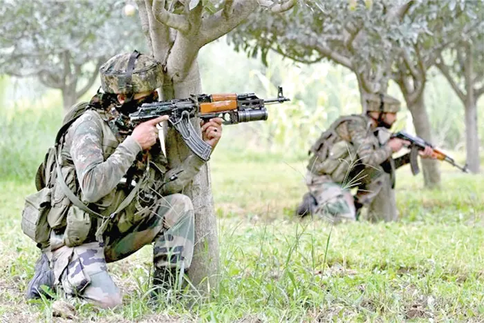 mzamin