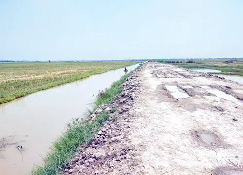 mzamin