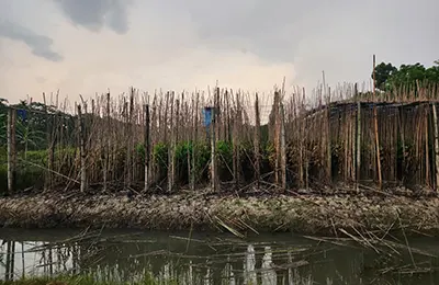mzamin