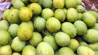mzamin