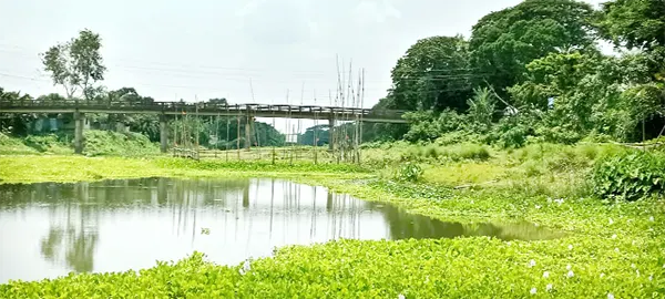mzamin
