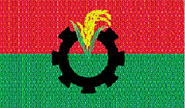 mzamin