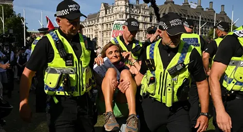 লন্ডনে গাজার পক্ষে বিক্ষোভ, গ্রেপ্তার ৪৬৬:  অনাহার-অপুষ্টিতে ১০০ শিশুর মৃত্যু