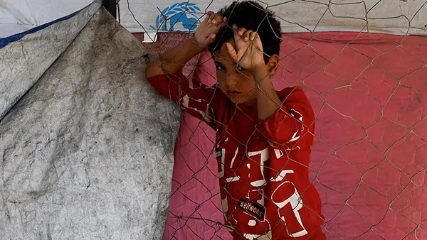 ট্রাম্পের প্রস্তাবে হামাসের সম্মতির পরও ১০০ ফিলিস্তিনিকে হত্যা করলো ইসরাইল