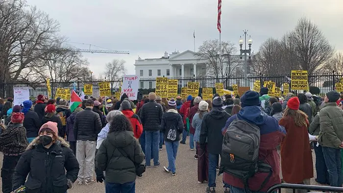 প্রত্যাখ্যান করি আমার মাতৃভূমিকে অপমানিত করার নীতি by মিশেল এলনার
