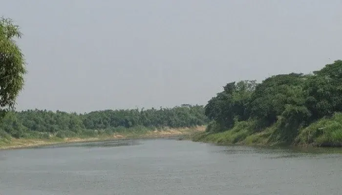 mzamin