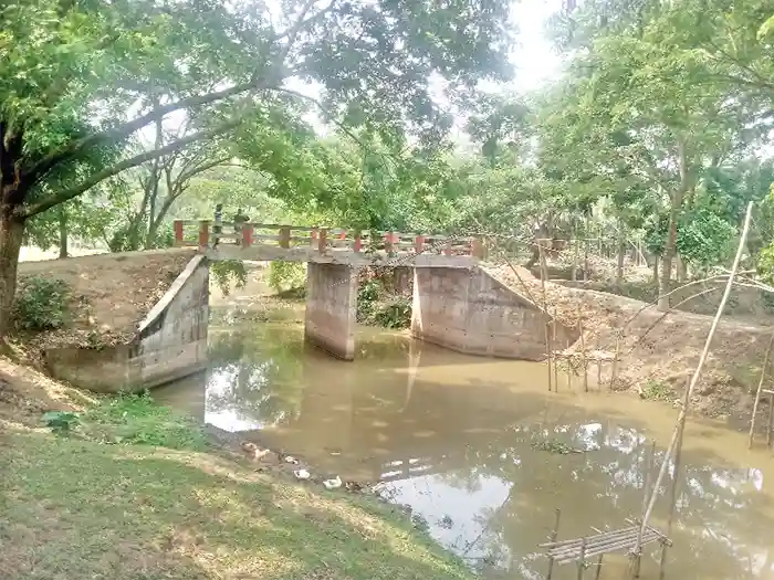 mzamin