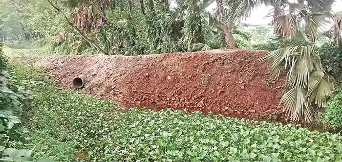 mzamin