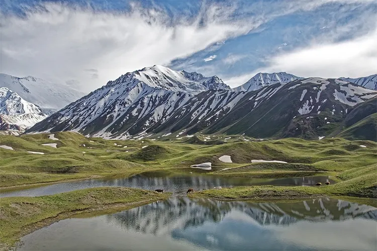 mzamin