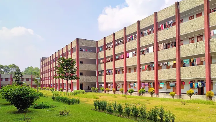 mzamin
