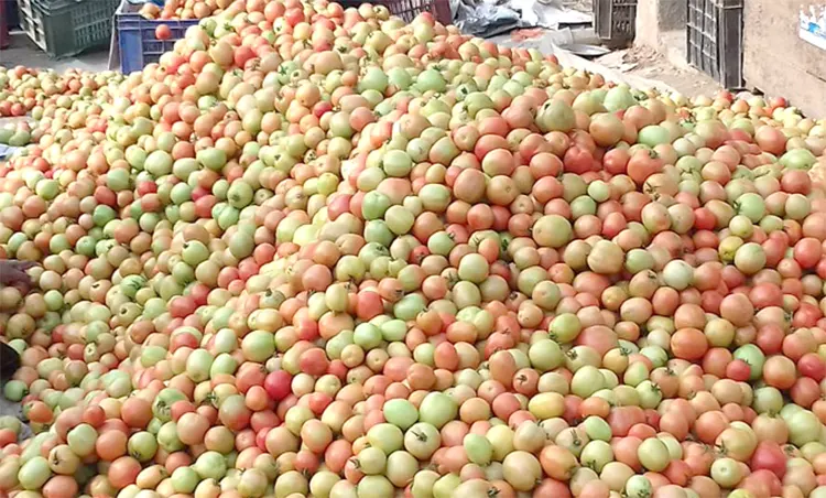 mzamin