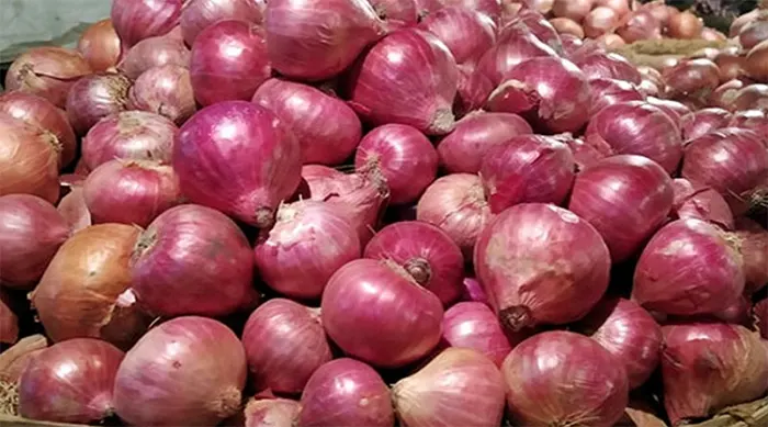 mzamin