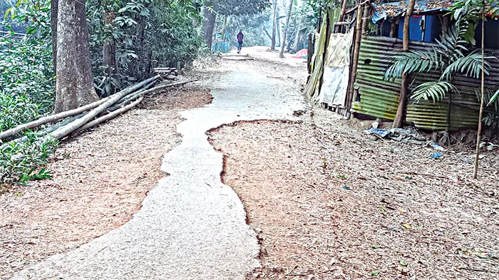 Hamkoringizning najasi bilan jinsiy aloqa qilish Emma Ilnar yalangoch