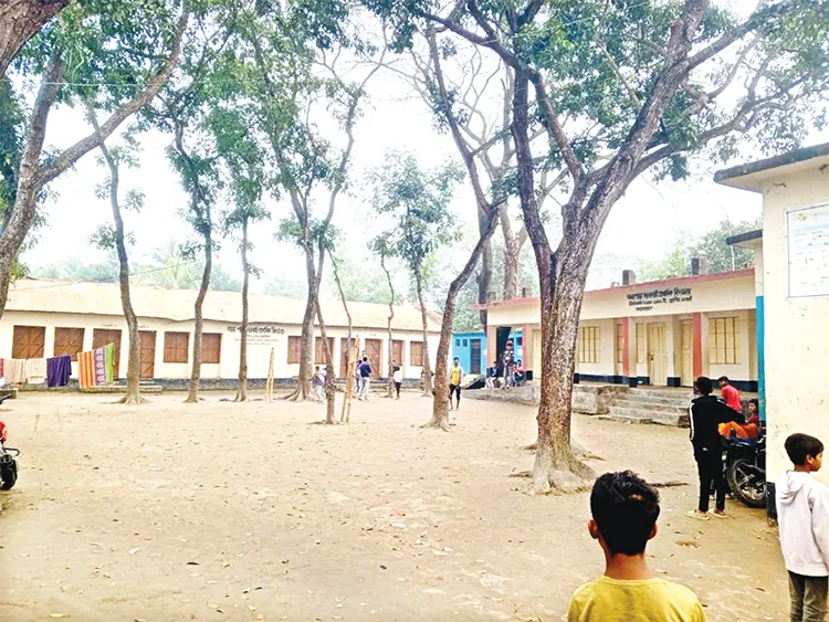 mzamin